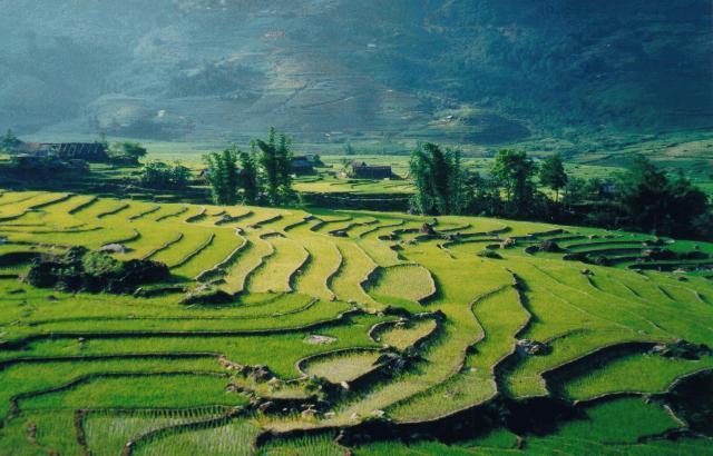 SAPA1.jpg
