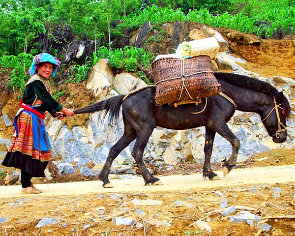 Vietnam tour packages - Sapa, Lao Cai
