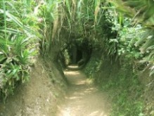 Vinh moc tunnel.jpg