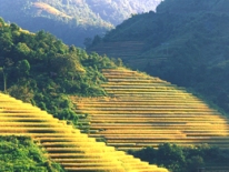 Sapa photos 2.jpg